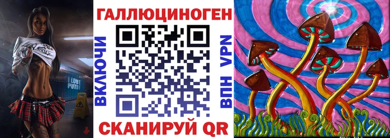 Галлюциногенные грибы Psilocybine cubensis  Мурманск 